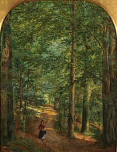 Nel bosco